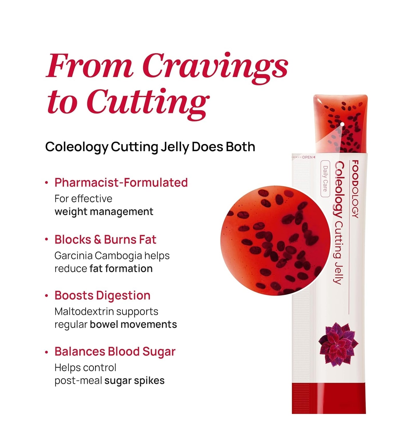 FOODOLOGY - Coleology Cutting Jelly 10 pack